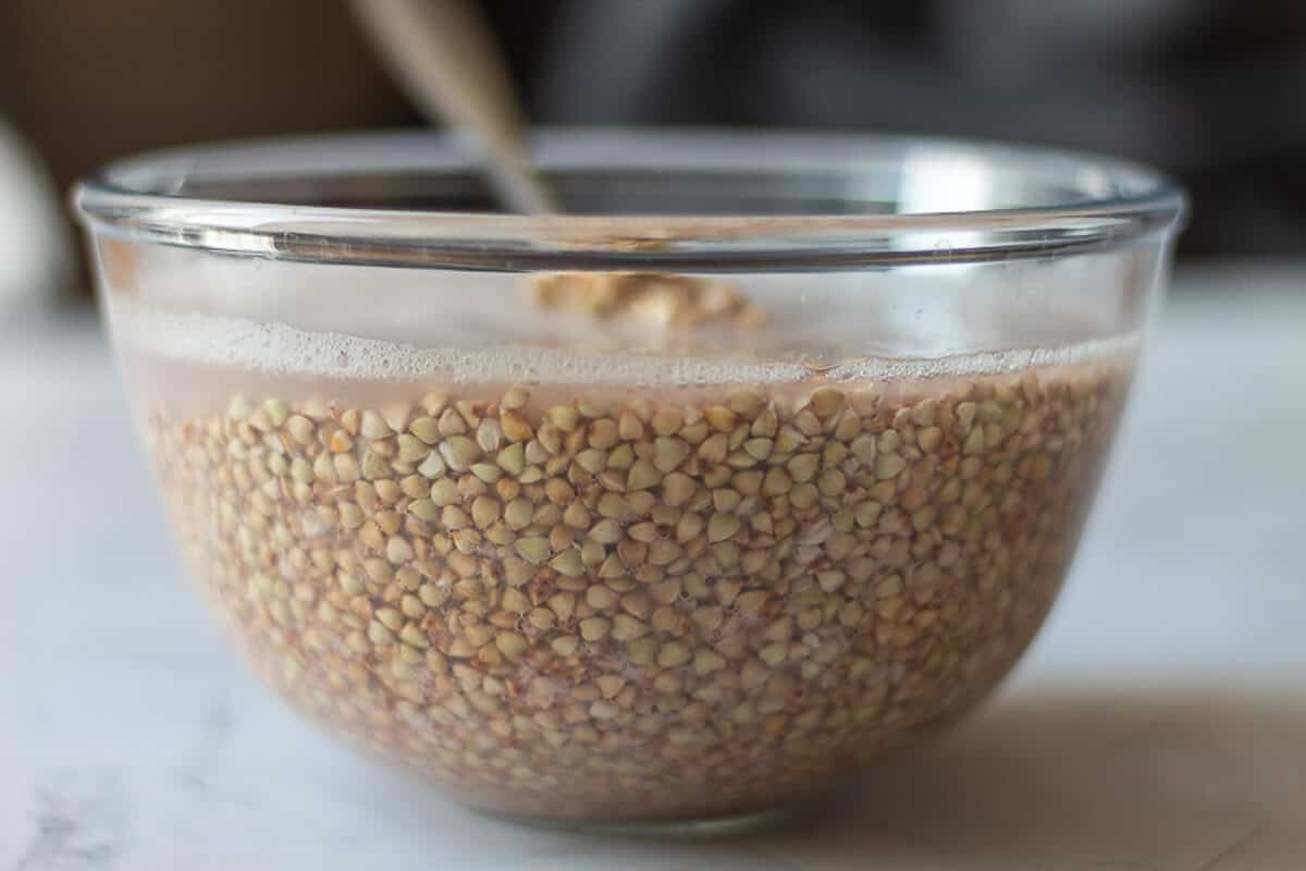 Buckwheat Groats after soaking in water for 12 hours