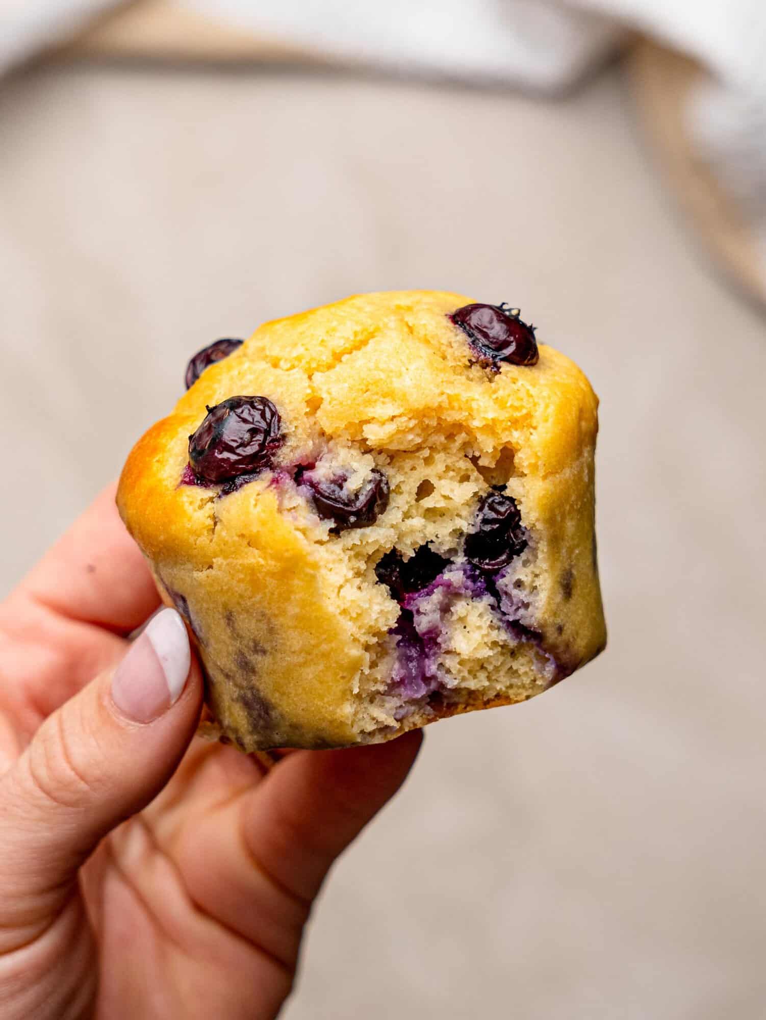 High protein blueberry muffin held in a hand, showing the soft fluffy centre and juicy blueberries.
