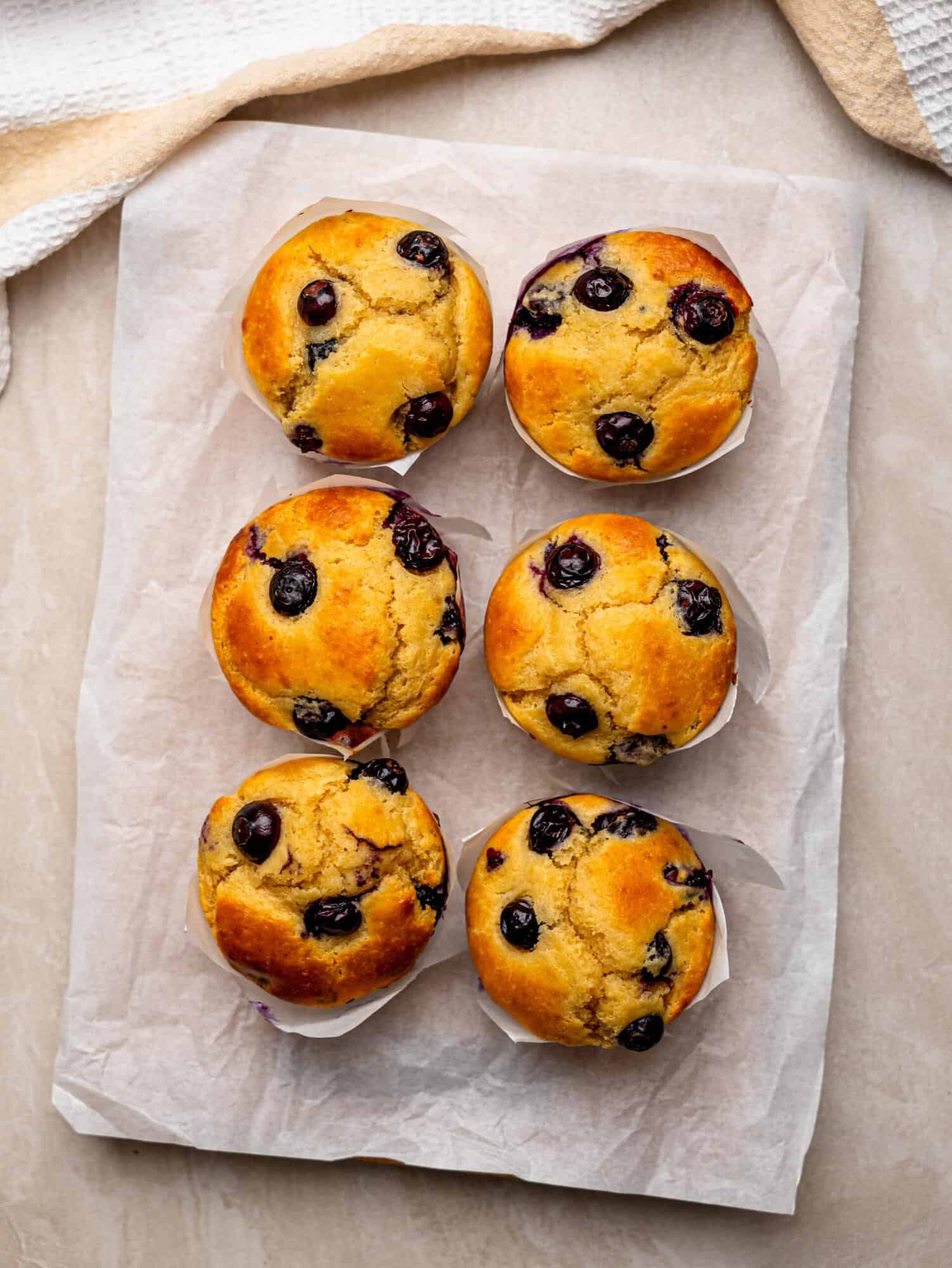 Six freshly baked blueberry muffins arranged on parchment paper.